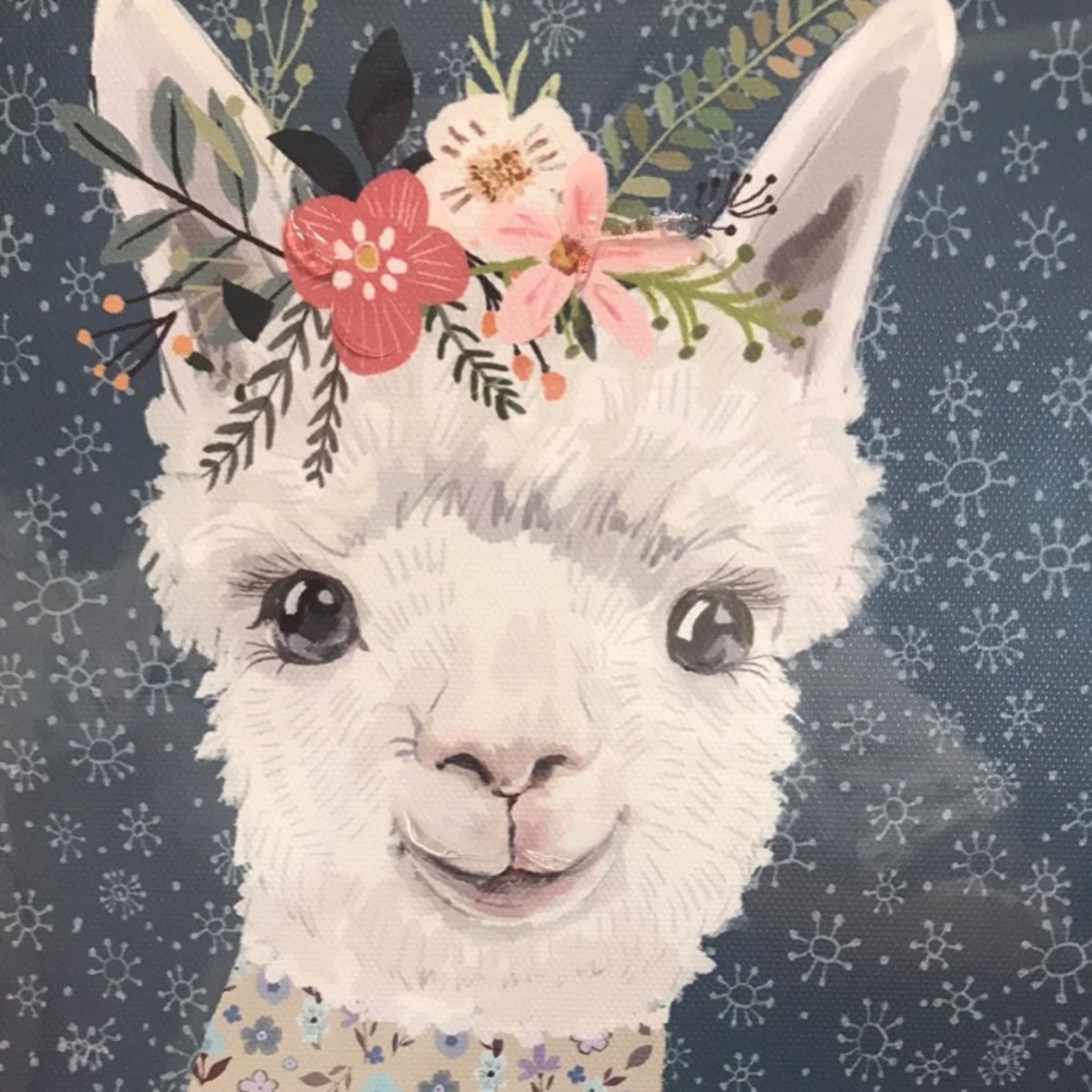 Looking for llama canvas print like this for >$10